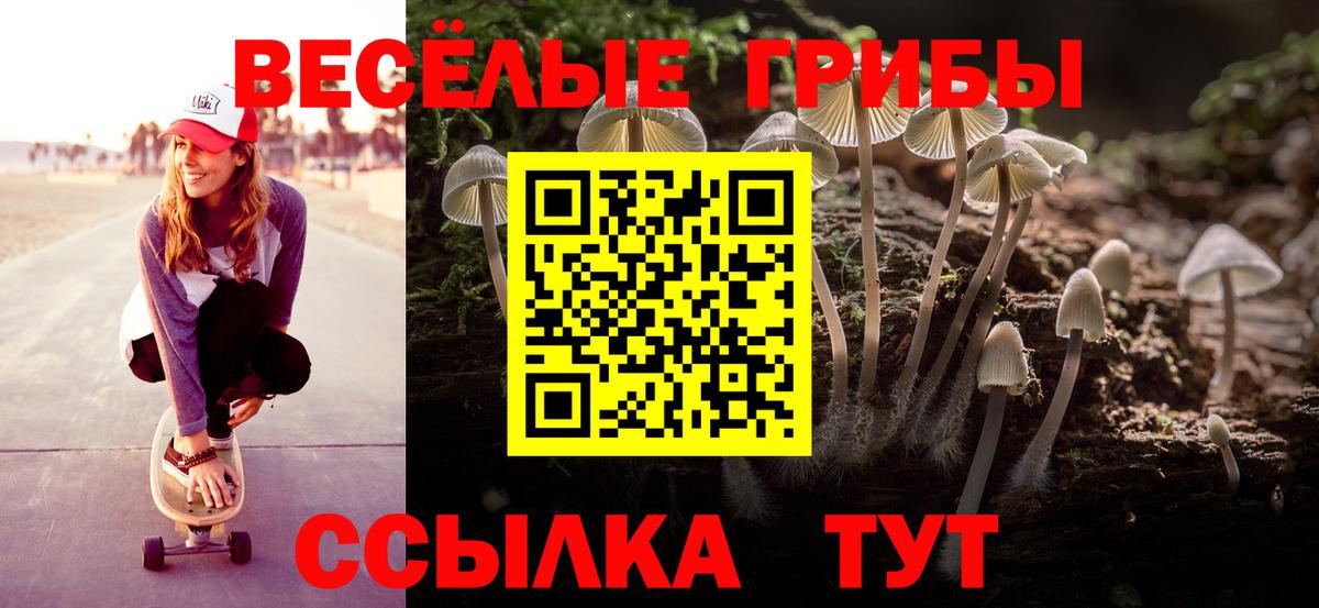 Псилоцибиновые грибы Psilocybe  Вход с VPN  Кызыл 