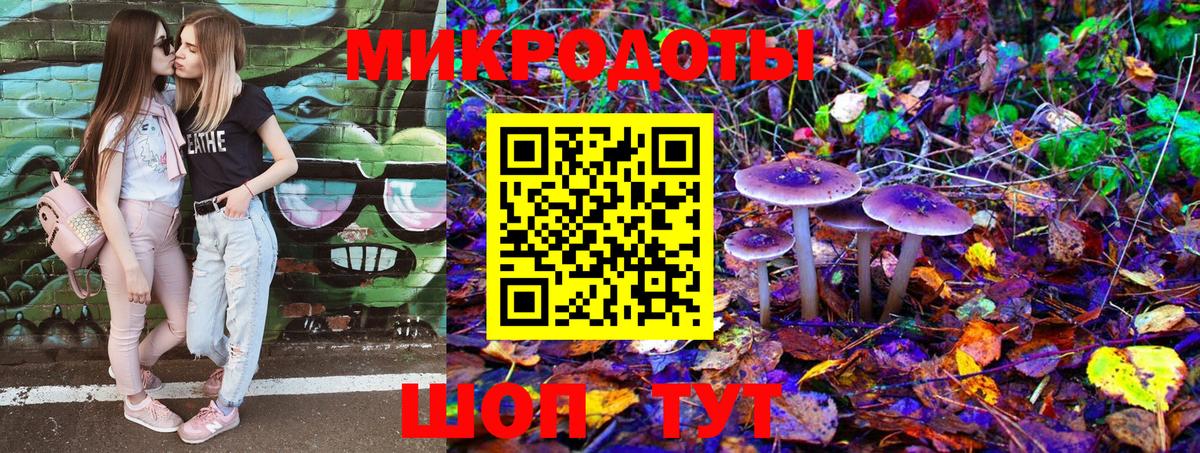 Галлюциногенные грибы Psilocybine cubensis Кызыл